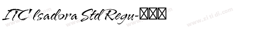 ITC lsadora Std Regu字体转换